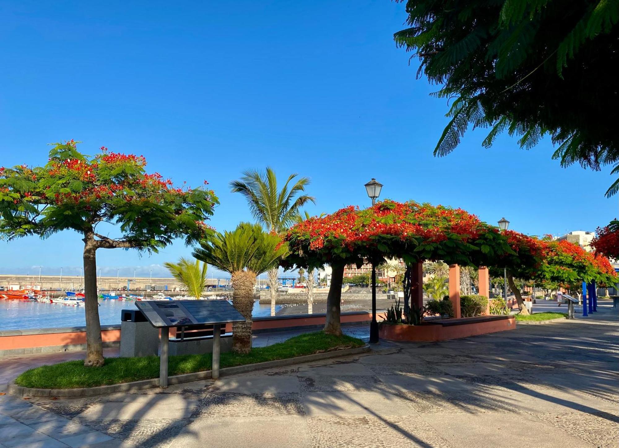 Casa Antonio - Sol Appartement *